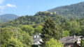 Schwarzwald-Panorama / Sicht auf die Burg von Bade